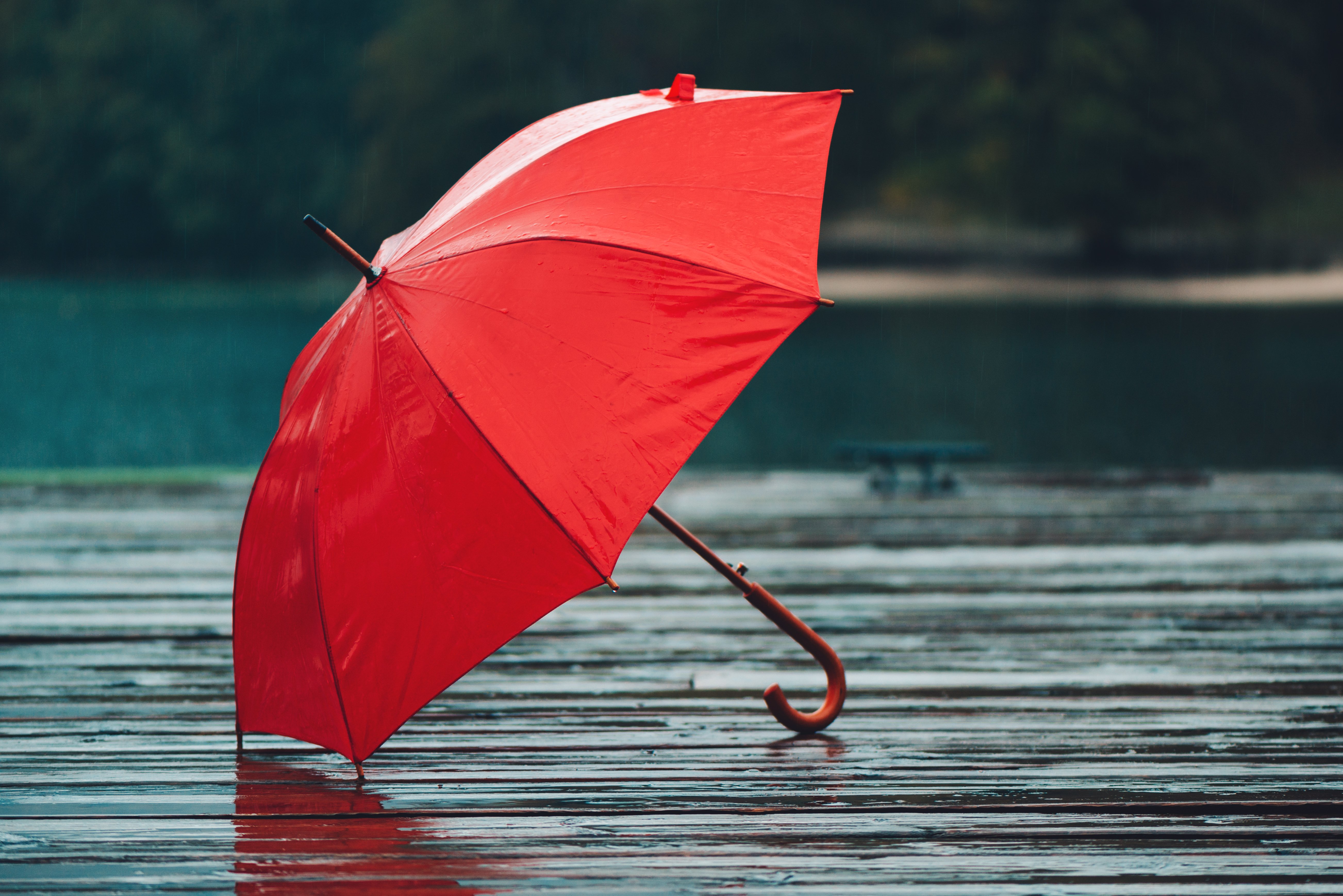 red-umbrella-on-rain-P94CKF8